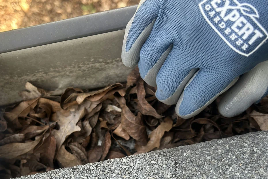 Sunset Valley Gutter Cleaning