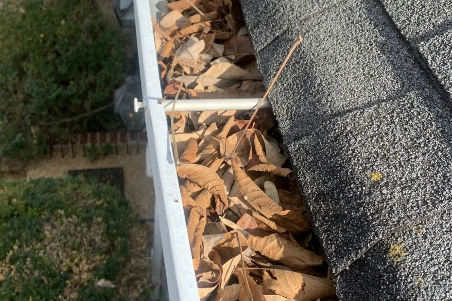 Gutter Cleaning Sunset Valley