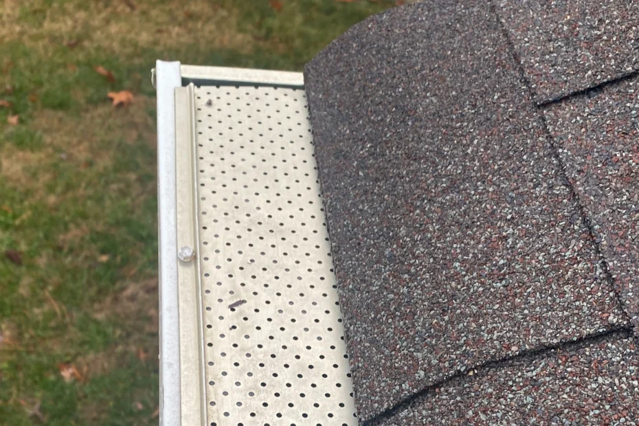 Gutter Cleaning Sunset Valley